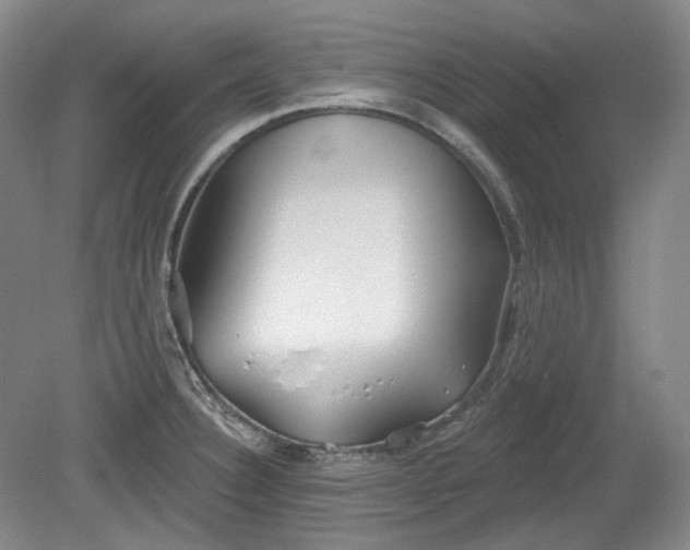 X0000079581332200612081525