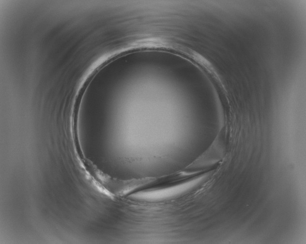 X0000079581334200612081525