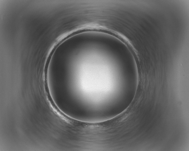 X0000079581335200612081525