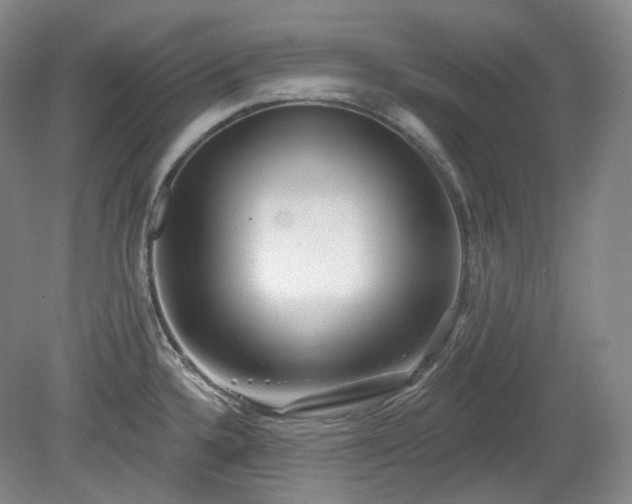 X0000079581336200612081525