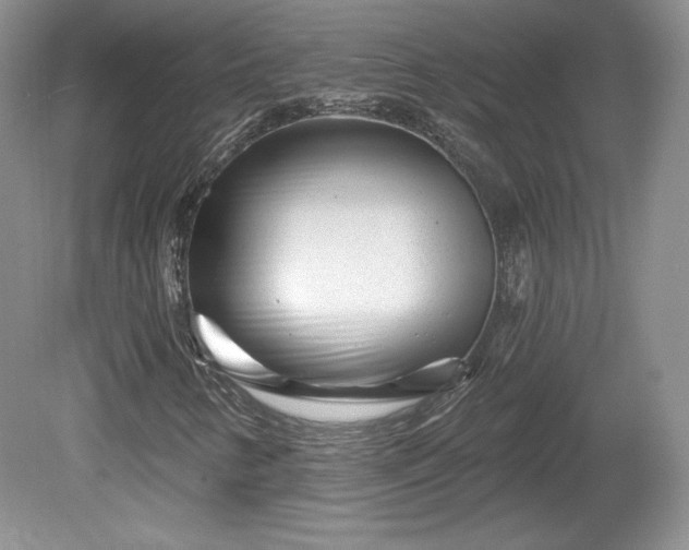 X0000079581346200612081525
