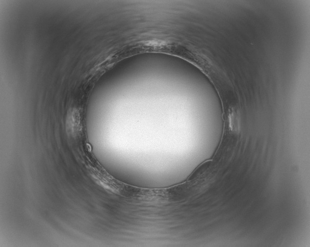X0000079581347200612081525