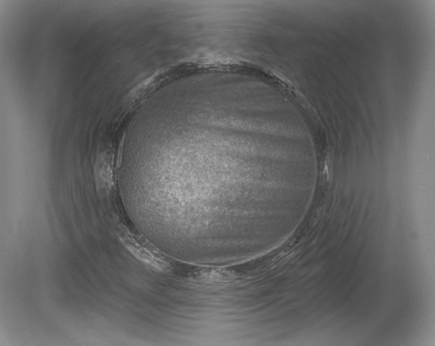 X0000079581348200612081525