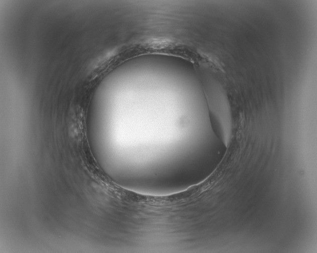X0000079581349200612081525