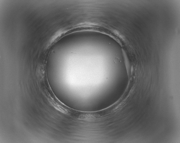 X0000079581355200612081524