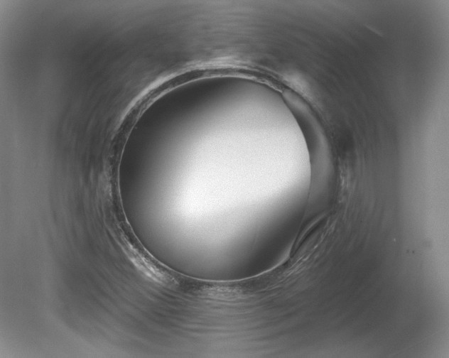 X0000079581356200612081524