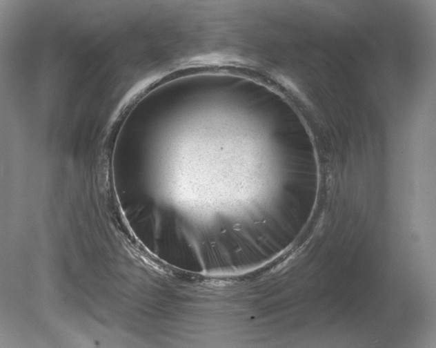 X0000079581358200612081524