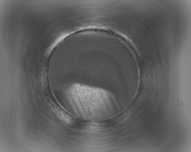 X0000079581359200612081524