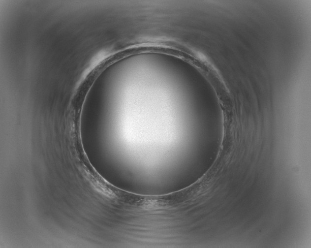 X0000079581360200612081524