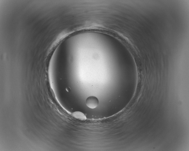 X0000079581363200612081524