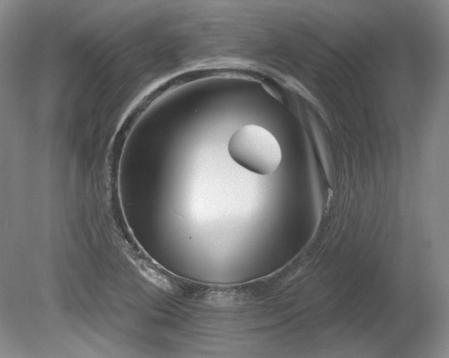 X0000079581364200612081524