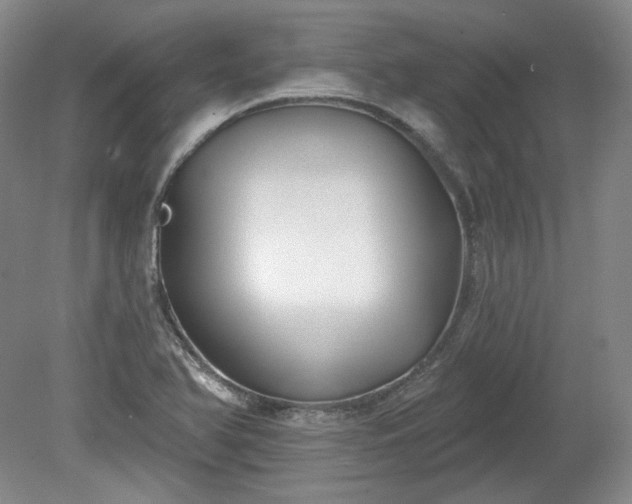X0000079581366200612081524