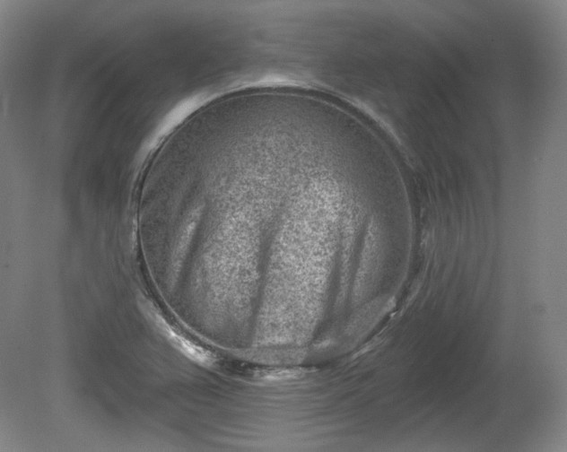 X0000079581367200612081524