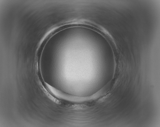 X0000079581368200612081524