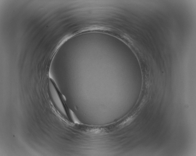 X0000079581369200612081524