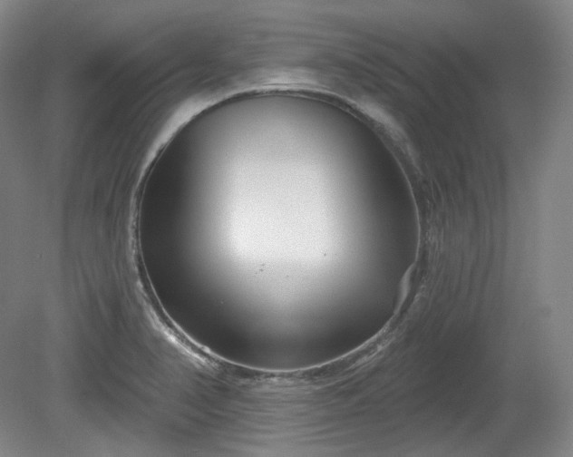 X0000079581374200612081524