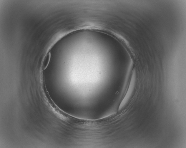 X0000079581375200612081524