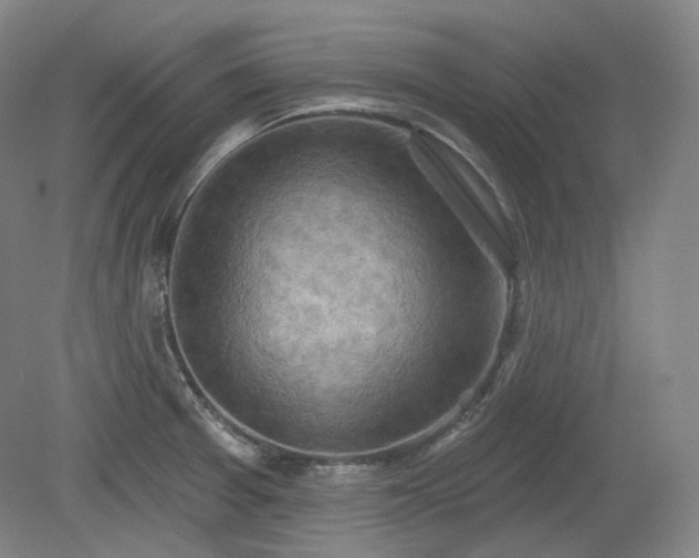 X0000079581377200612081524