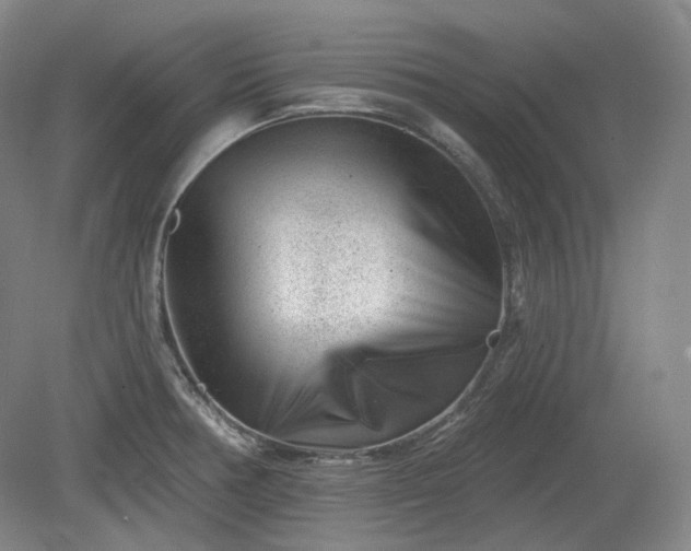 X0000079581378200612081524