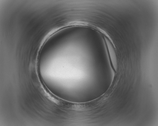 X0000079581379200612081524
