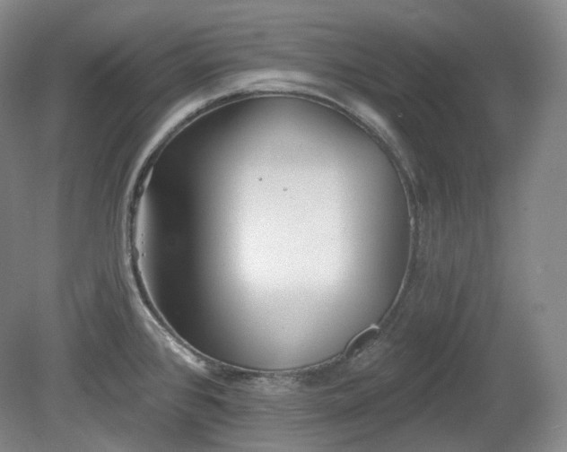 X0000079581384200612081524