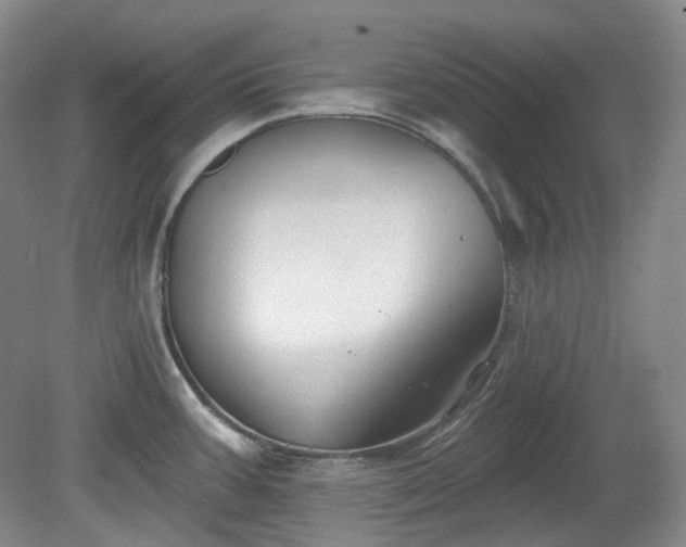X0000079581387200612081524