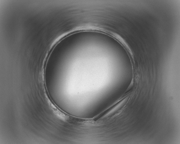 X0000079581388200612081524