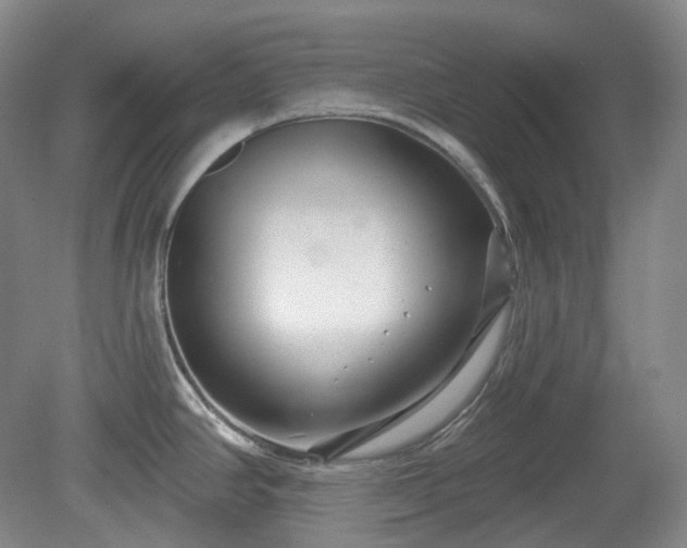 X0000079581390200612081524