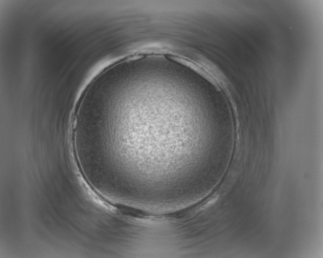 X0000079581392200612081524