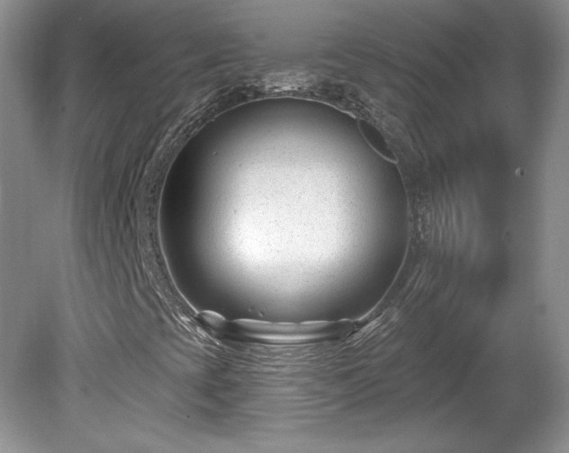 X0000079581393200612081523