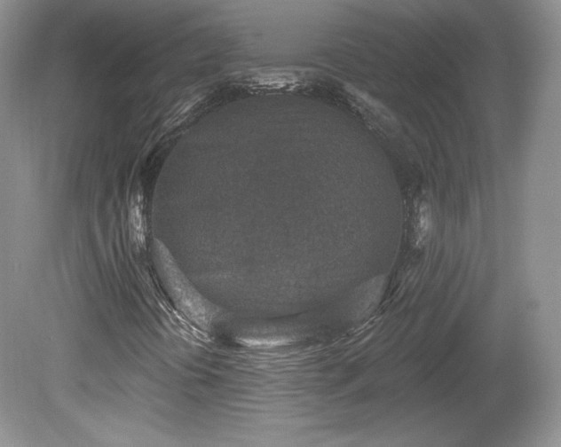 X0000079581394200612081523