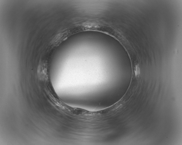X0000079581396200612081523