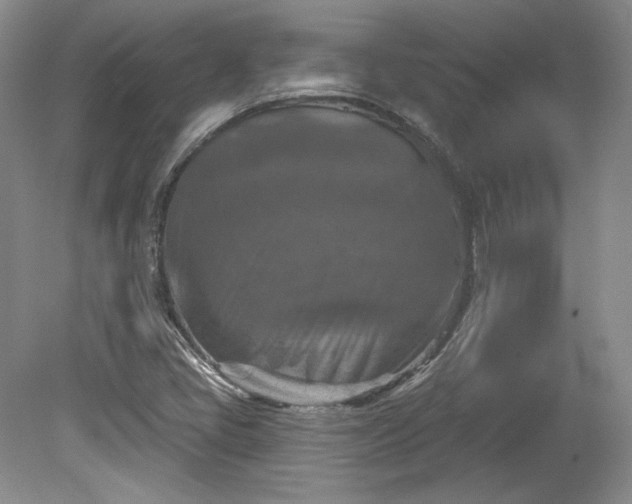 X0000079581405200612081523
