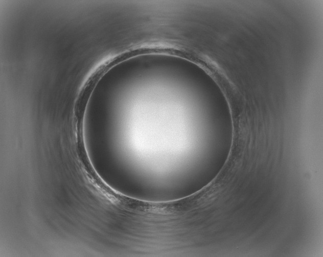 X0000079581408200612081523