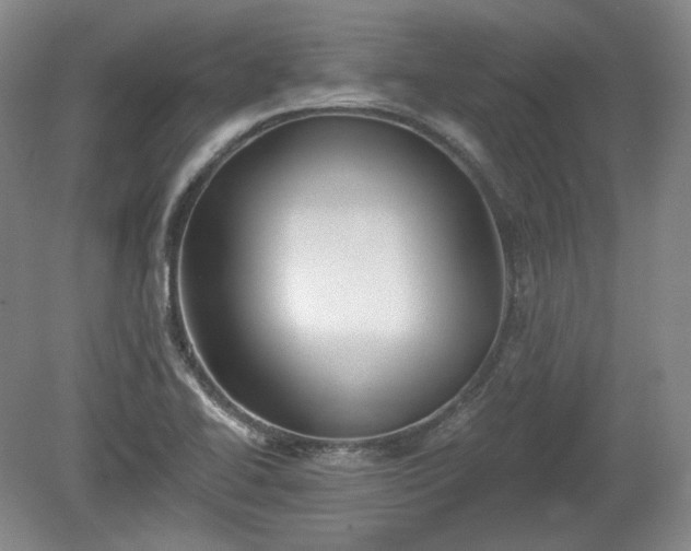 X0000079581414200612081523