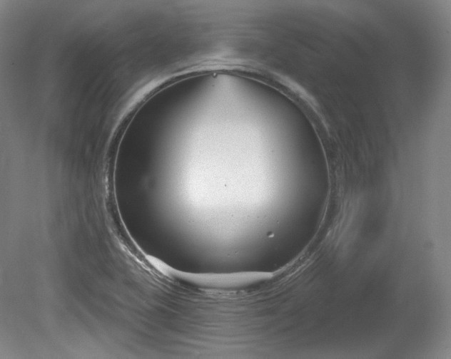X0000079581415200612081523