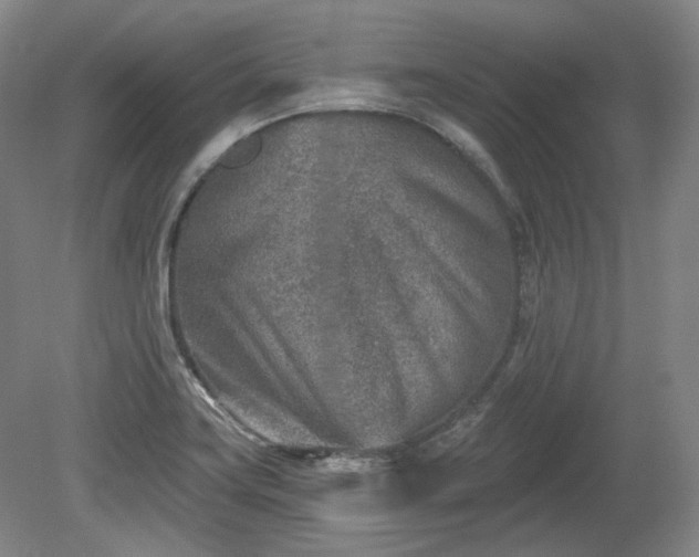 X0000079581419200612081523