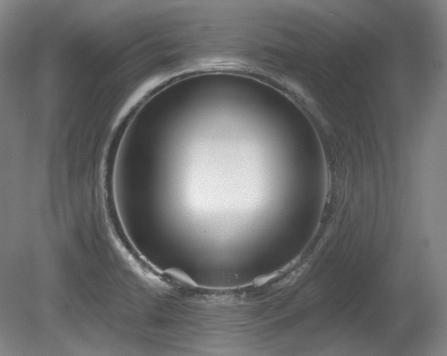 X0000079581422200612081524