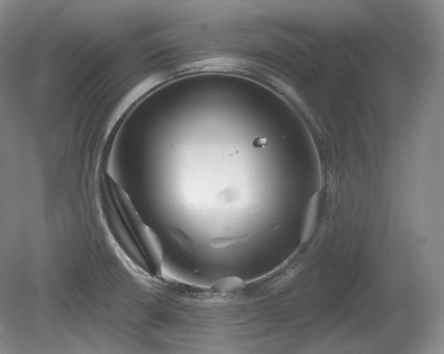 X0000079581426200612081524