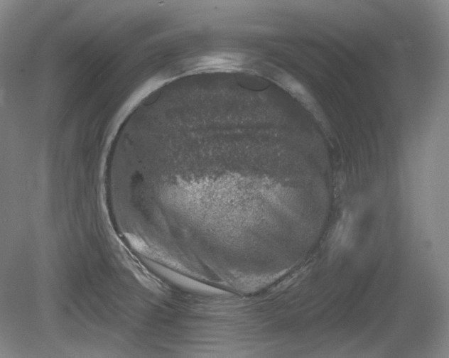 X0000079581427200612081524