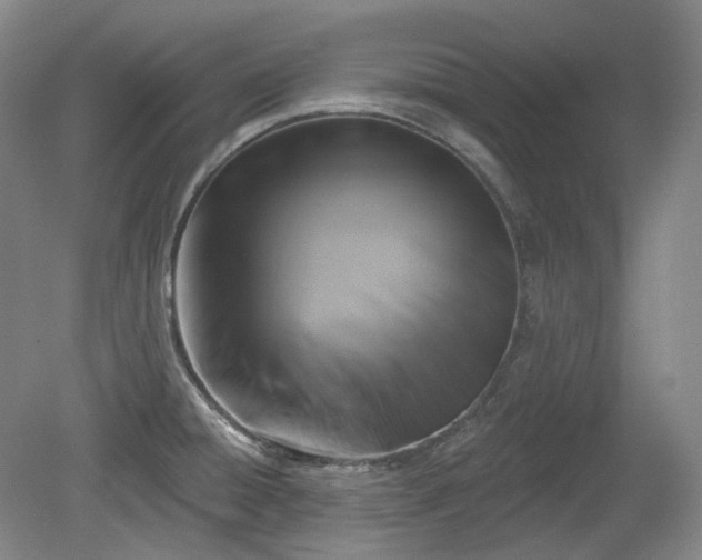 X0000079581428200612081524