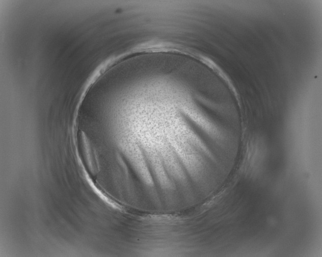 X0000079581429200612081524