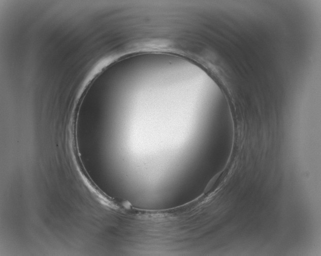 X0000079581432200612081524