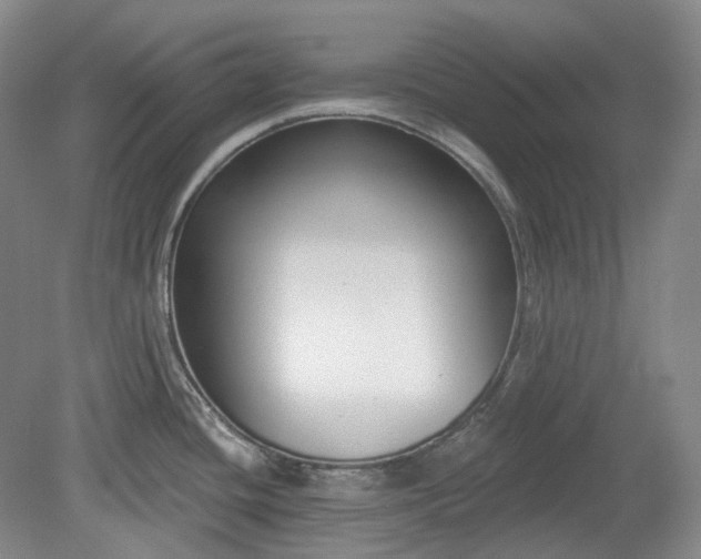 X0000079581436200612081524