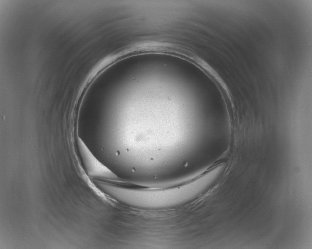 X0000079581437200612081524