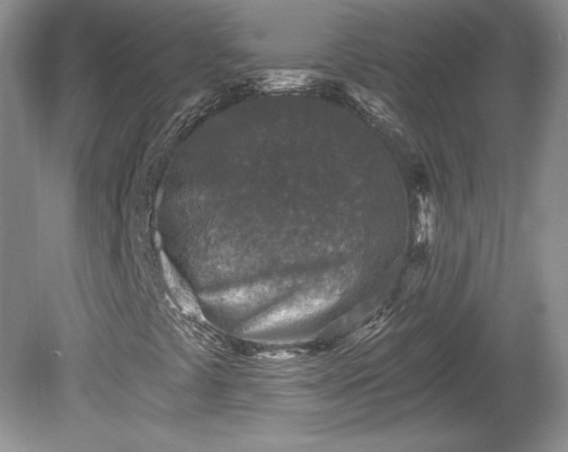 X0000079581441200612081523