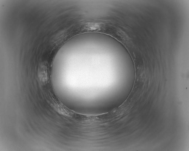 X0000079581442200612081523