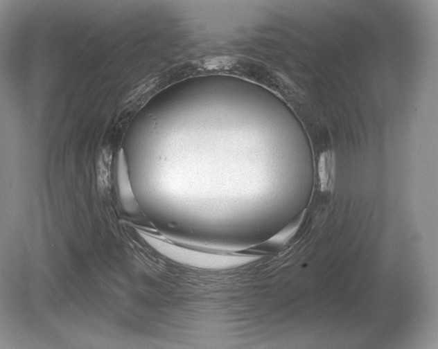 X0000079581443200612081523