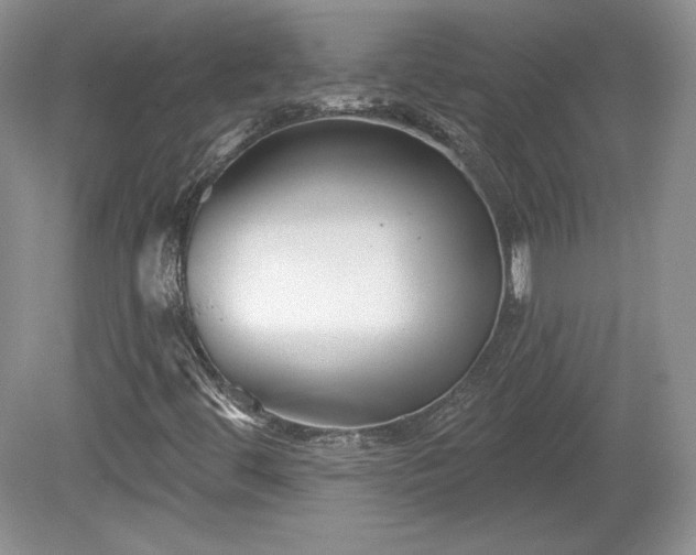 X0000079581444200612081523