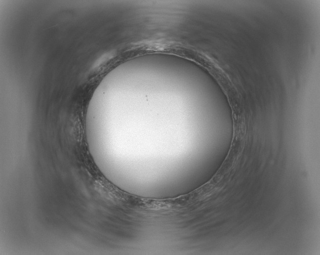 X0000079581446200612081523